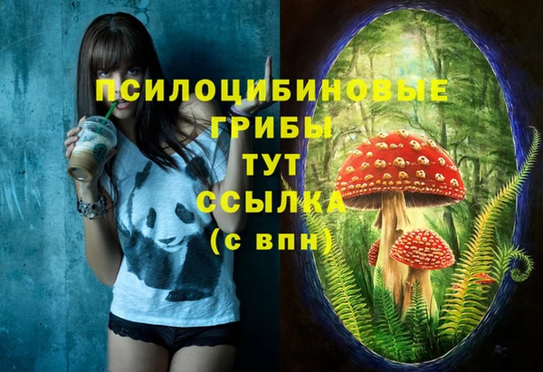 PSILOCYBIN Баксан